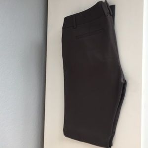 Express Dress Pant